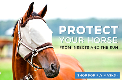 Protect your horse