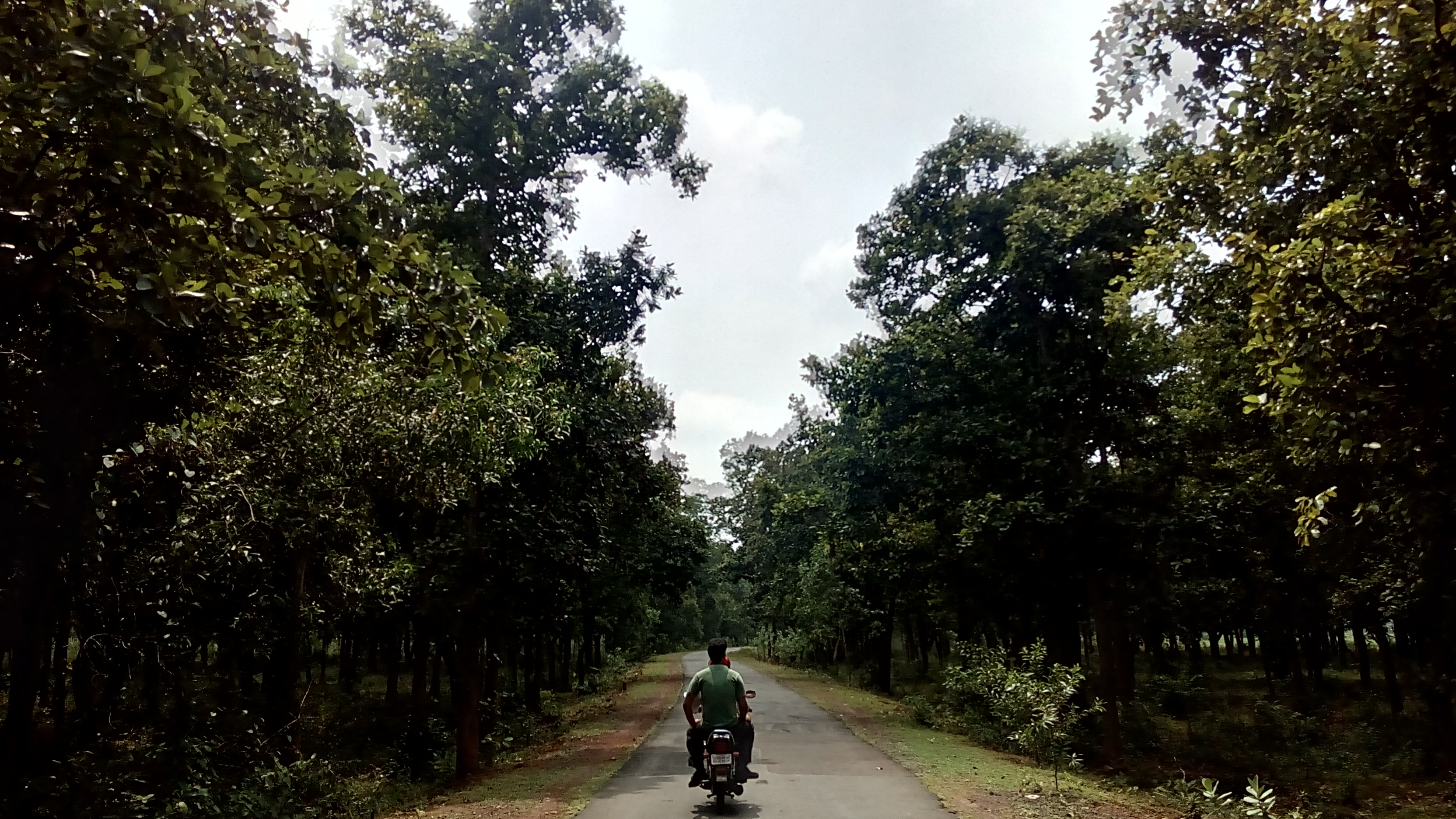 Elephant Corridor