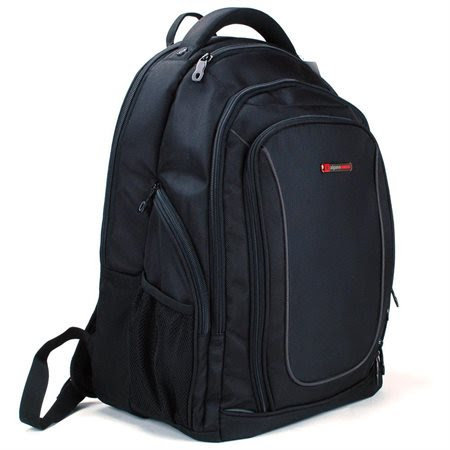 Alpine 15.4-inch laptop backpack