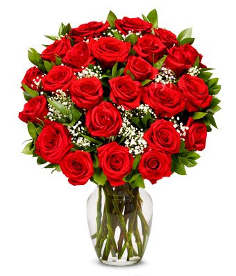 Two Dozen Long Stemmed Red Roses