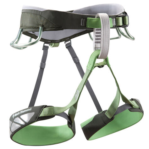 Focus Climbing Harness