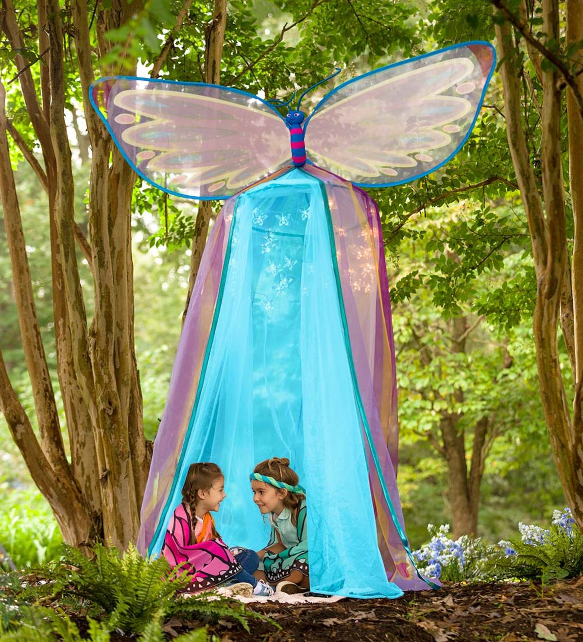 Butterfly Canopy