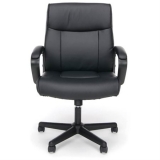 Save $117.5 – Executive Leather Chair with Arms for $52.5 with free shipping