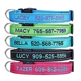 50% Off Personalized Dog Collar